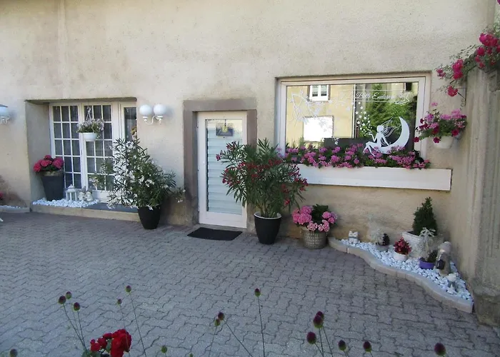 La Belle Endormie - A Апартаменты Fenetrange